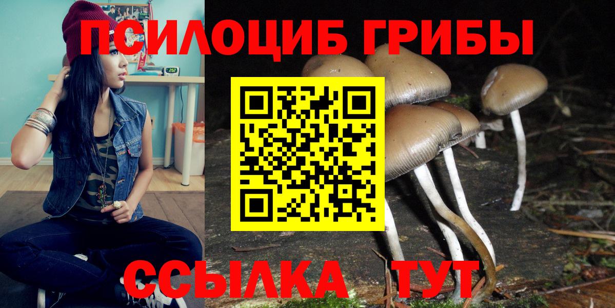 купить наркоту  Галлюциногенные грибы Magic Shrooms  Вход с VPN  Железногорск 